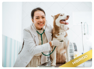 Gest�o Veterin�ria de Alta Performance - H�brido