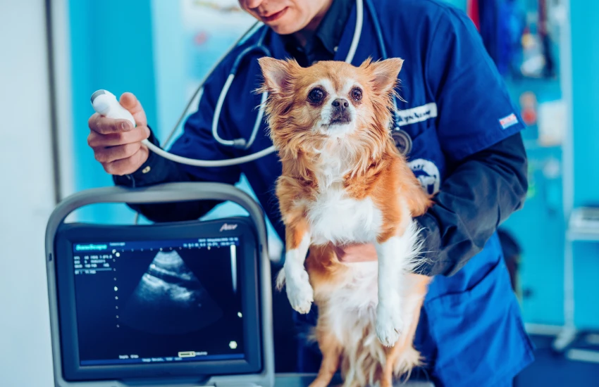 Ultrassonografia para Rotina Cl�nica