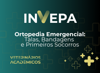 Ortopedia Emergencial: Talas, Bandagens e Primeiros Socorros