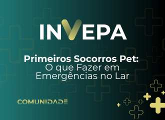 Primeiros Socorros Pet: O que Fazer em Emerg�ncias no Lar